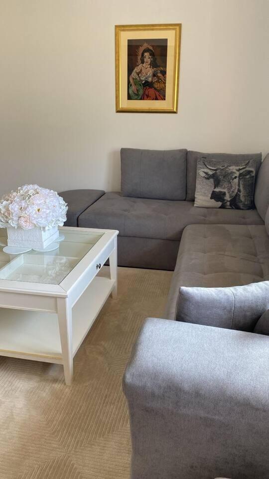 Apartment Angelina Čapljina エクステリア 写真